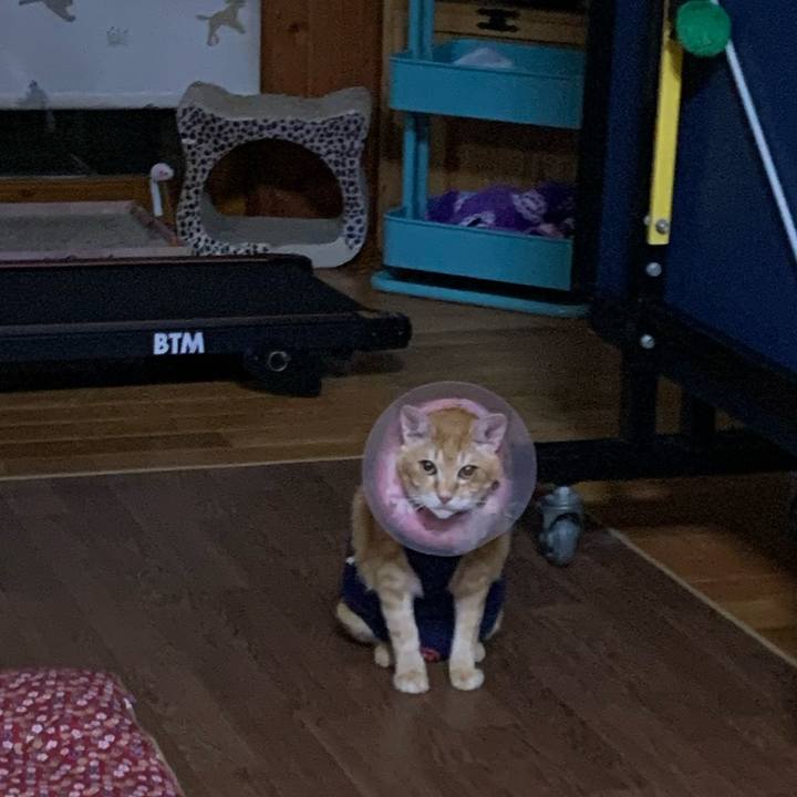 3b1e0a8c 6917 4909 99c6 d39080dde400 1622116640507