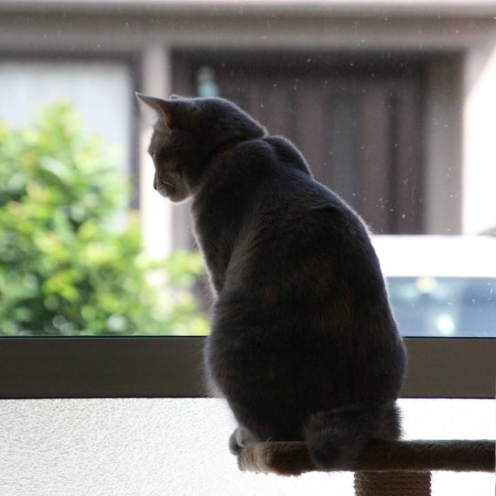 3b1e14ef 8a09 4330 ad65 364967afc94d 1528333422832