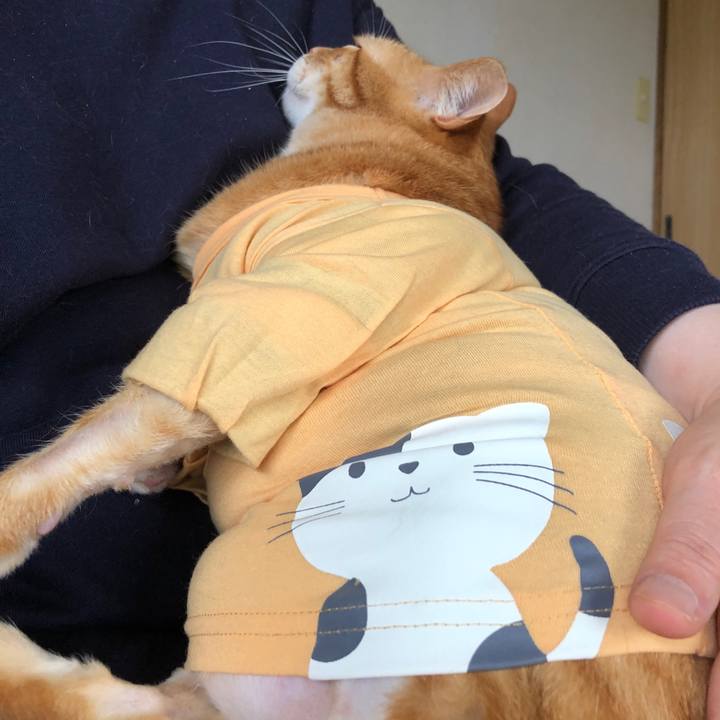 3b1e2d31 dca3 46ee ac5a be5b1439d392 1719129945985