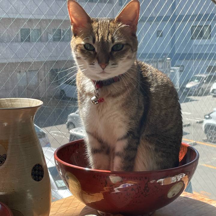 3b1e45cf e24b 4c1f a05e 09c3adac07e4 1711679715405