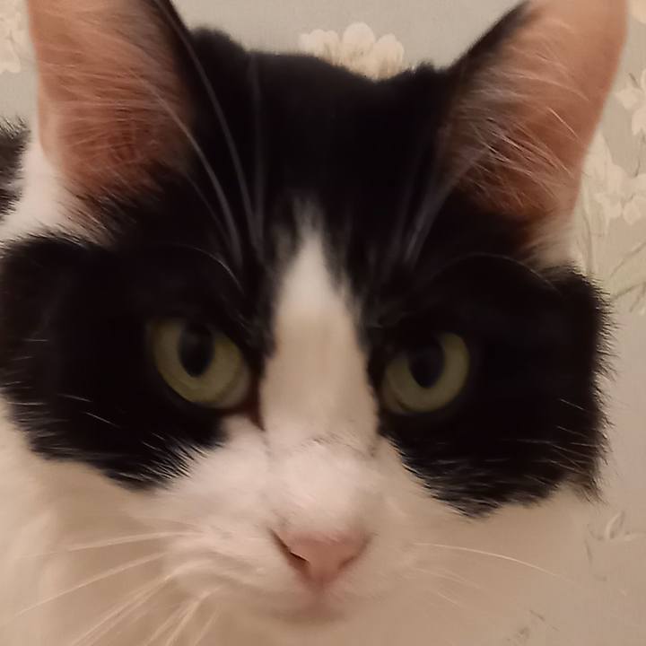 3b1e7fec 1a0d 48c1 a9b9 5111e25f4d55 1625869742457