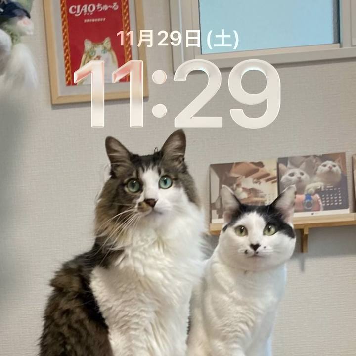 3b1e8033 63f8 4e08 b43a 990cfc600656 1764387657201