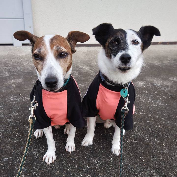 3b1e90d6 870e 4db6 8ed6 57680ac3558f 1759700526737