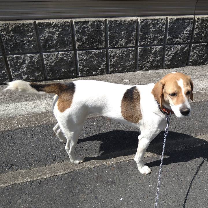 3b1ebde8 e716 4e4e aea1 d897c5f300e0 1621664278094