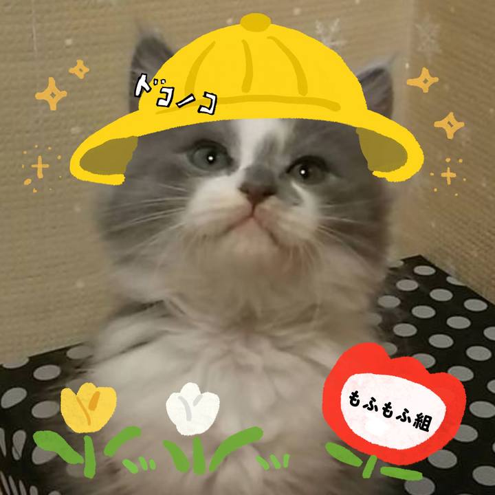 3b1f0c3b 2ea1 43e1 a243 5c69f31cc19c 1712219634594