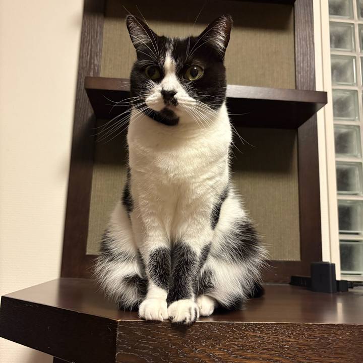 3b1f1f04 c761 4be2 b8dd afc23399b453 1761734793043