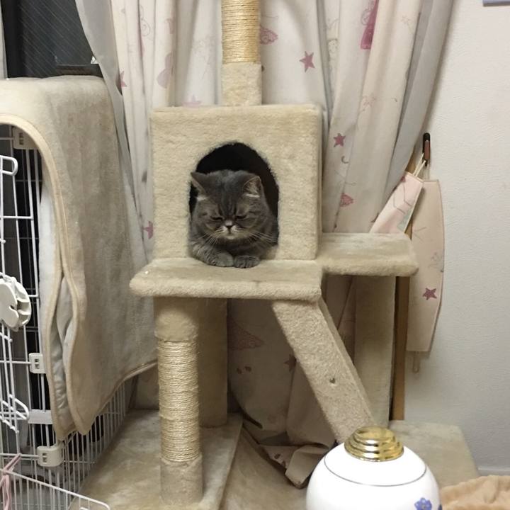 3b1f4d87 d535 452c 899e 0fafada7d8d9 1527731212744