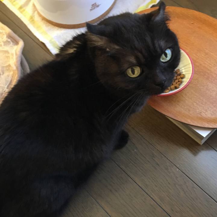 3b1f8438 0dc4 4bb3 9321 f0bd240ccd93 1514420221741