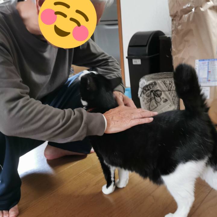 3b1f86e2 35c6 42c2 b69c ccd8cb53dee5 1666670744141