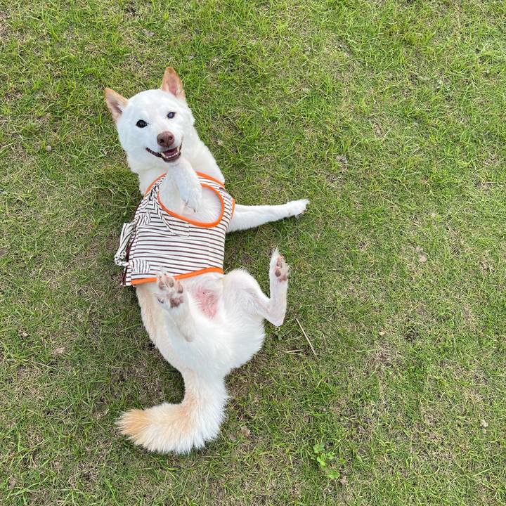 3b1fb826 009d 4232 a929 32df4b27644a 1656072065158