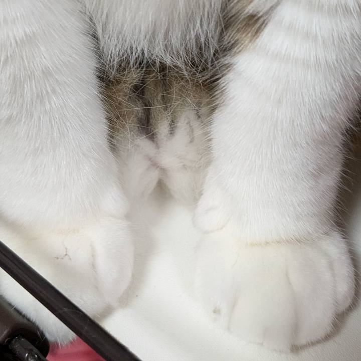 3b1fc11c 122e 4ba9 9da7 3b426478aae9 1727351366071