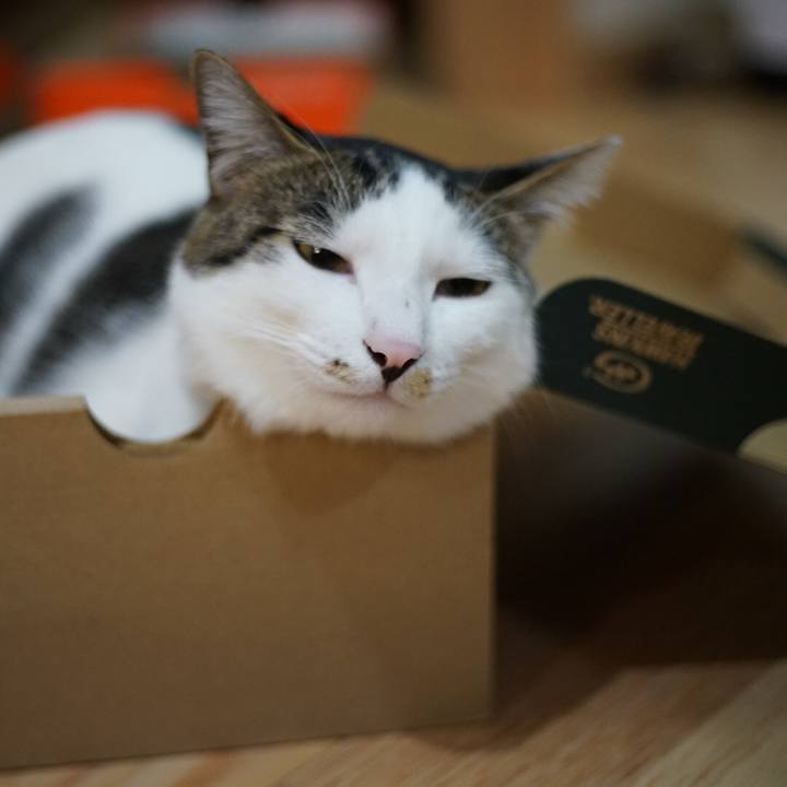 3b1fe6b2 a615 4eb8 8aa1 b5684938d730 1522198034782