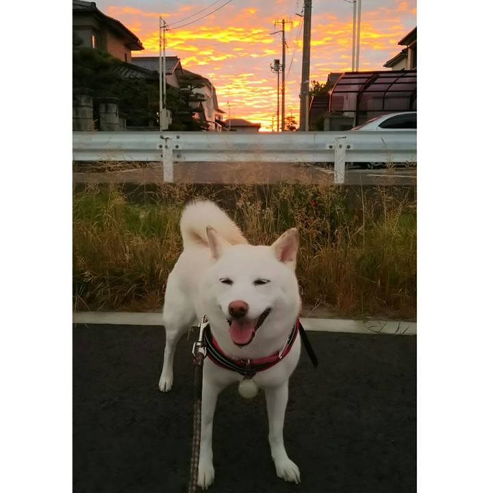 3b1ffba9 e38d 4cc3 b622 834958030836 1533722967967