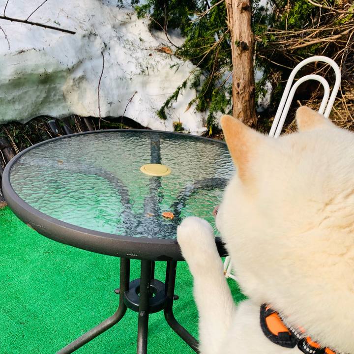 3b1ffe5b dd09 48ce 8a73 ad9df7dff319 1650148275610