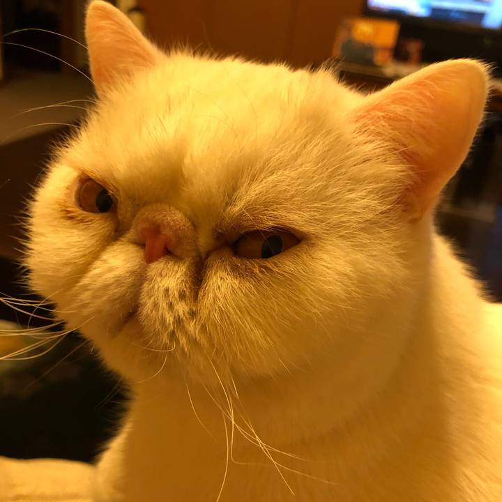 3b200bd9 5432 420b ba5d 938e3642b661 1676034602116