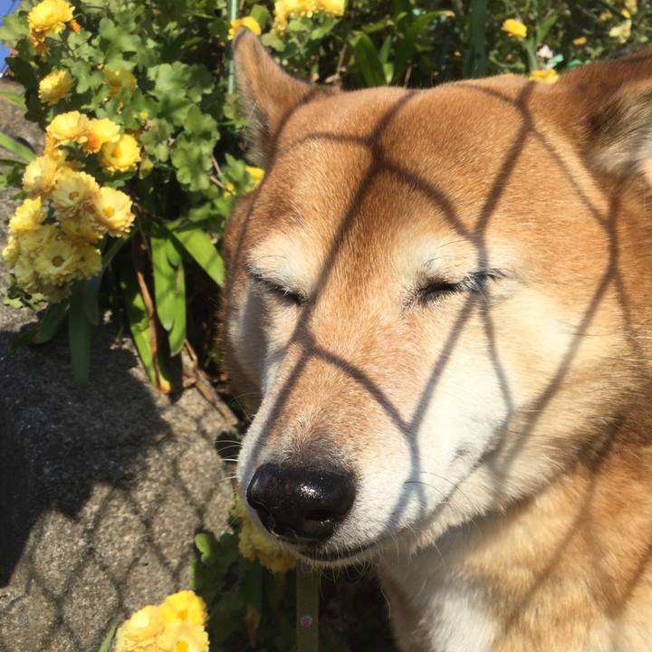 3b20682d 41ee 4918 89dd 9f5395f0a801 1605583202289