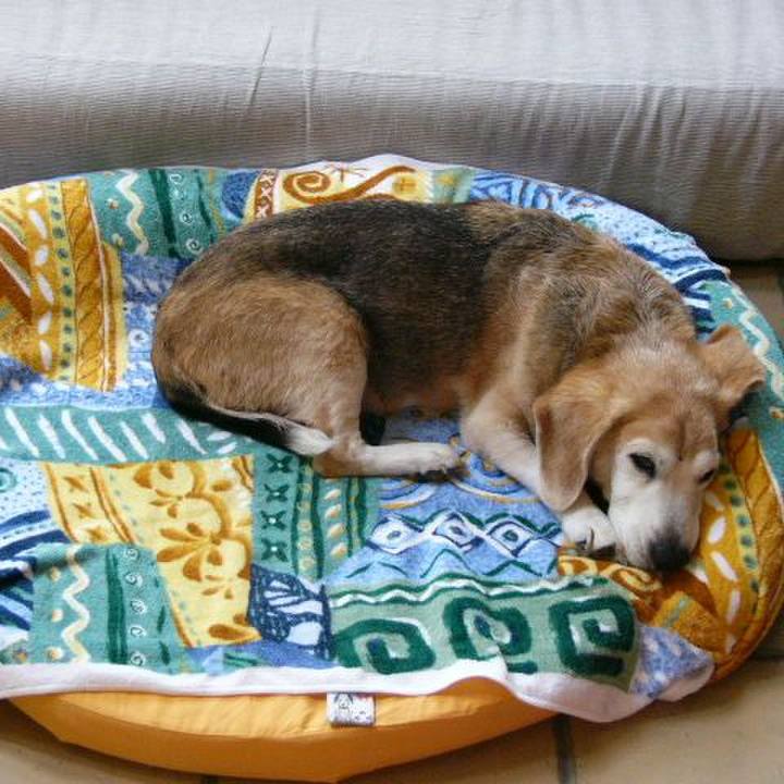 3b208707 8fd6 4ae4 8554 f010989e4e14 1689813199036