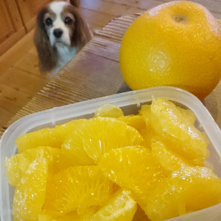 3b209860 1ce4 43e0 996c 9b064c75dab9 1552811699705