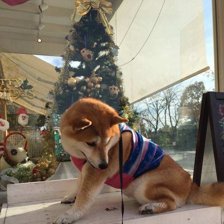 3b20d302 fc4d 465e 99e1 ddc5da6b4537 1542357720022