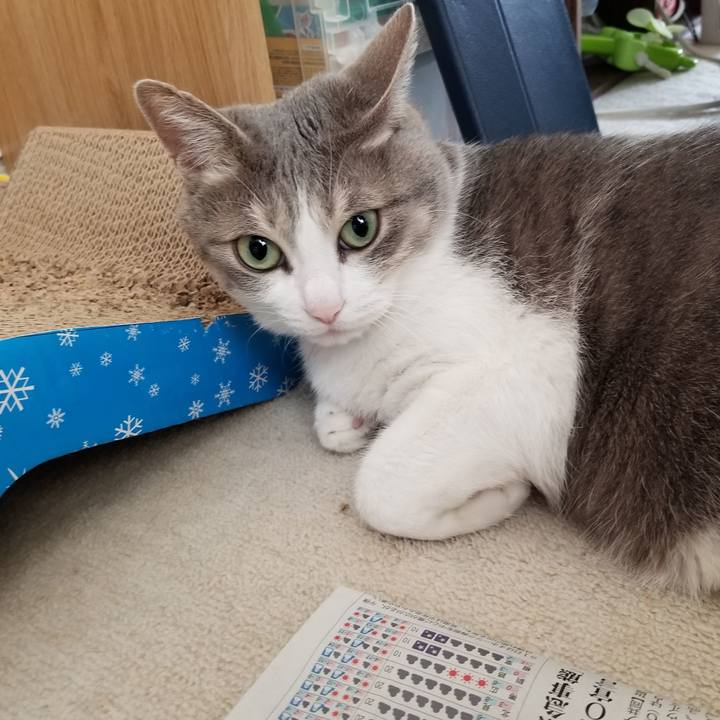 3b20f69d 9cf7 491d b90d 153ac431066d 1580892444432