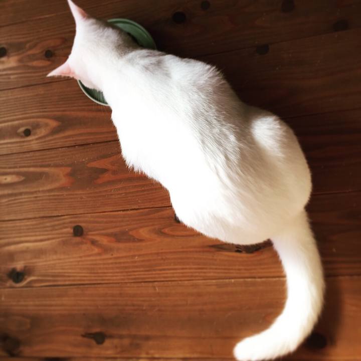 3b20f988 ba3d 41d0 9805 e2e088fb3846 1508974745316