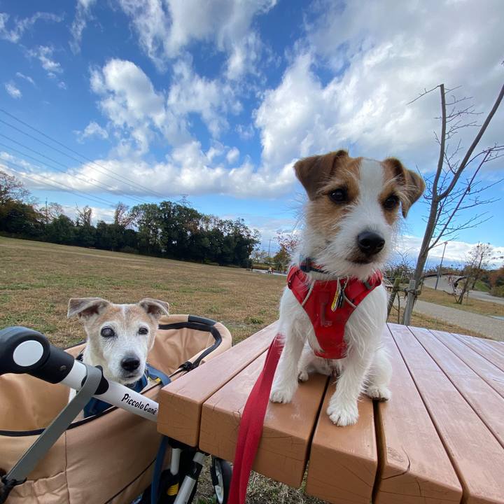 3b21055a 1226 48d8 84ee 7752cdbc9f3c 1670733080089