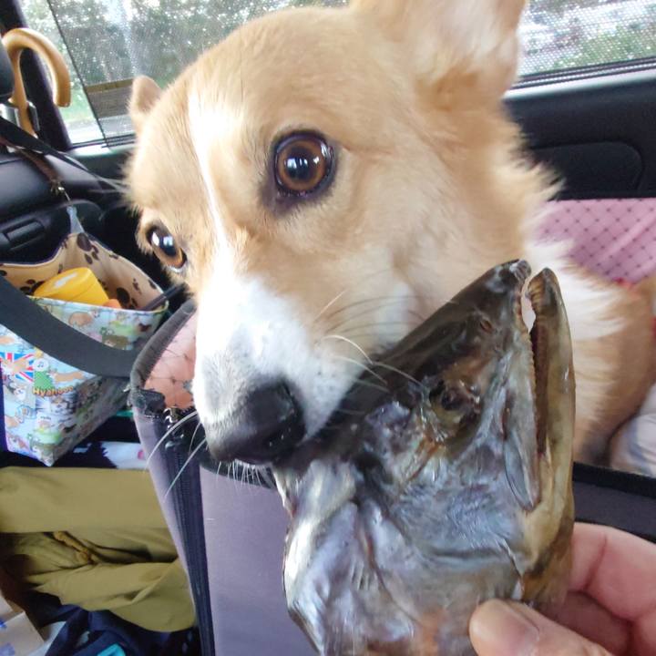 3b210f73 5780 4104 bd2a bc4971b69ab3 1760830747295