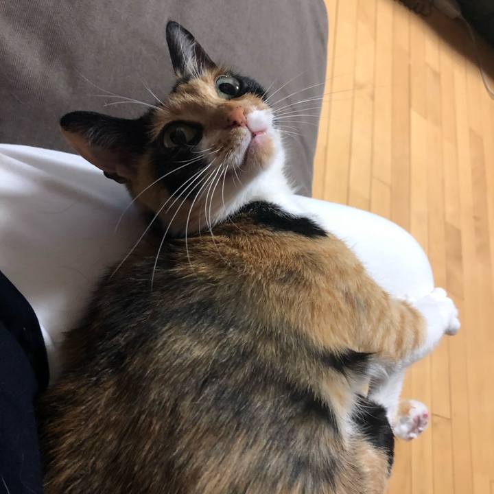 3b2121ff 1615 4d84 908b 4cb5a0040482 1558188685614