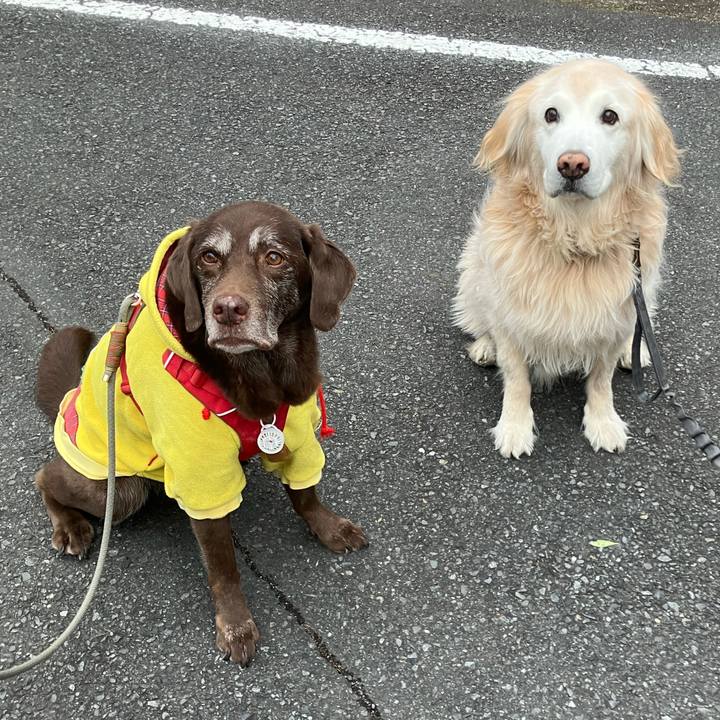 3b2138f2 95fb 4aa4 a9f1 2a47ef5cb380 1767752591632