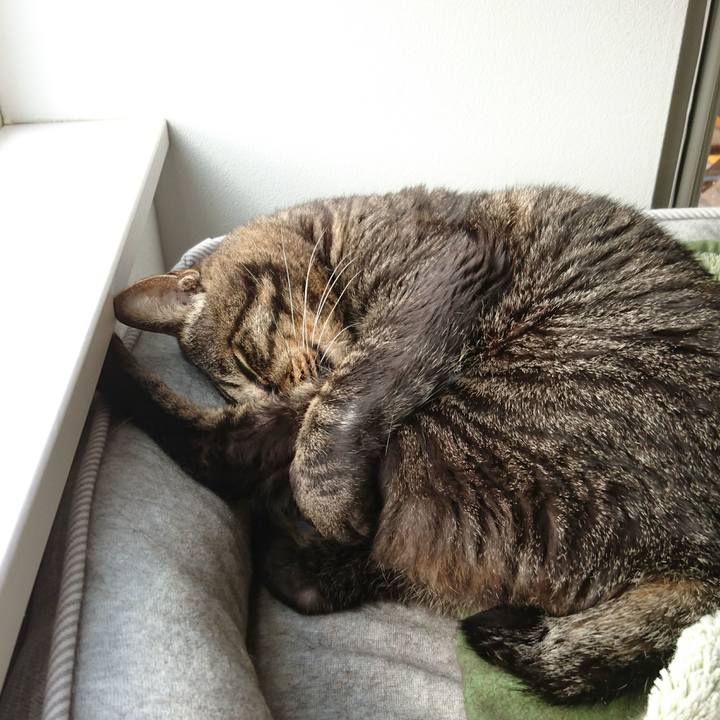 3b21447e 5dd5 404f b197 f51c7ac37aab 1542193242073