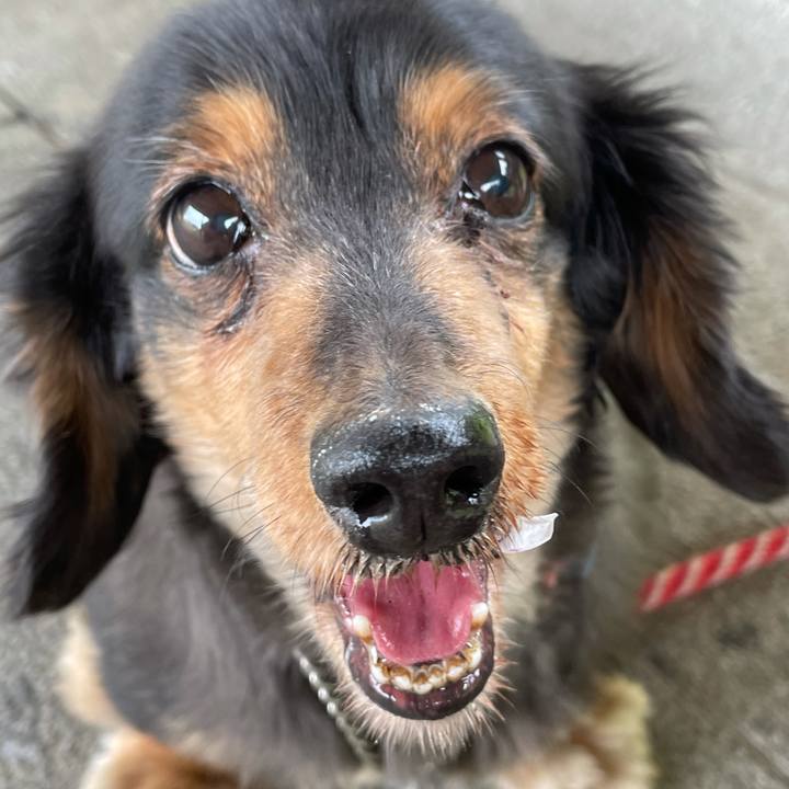 3b215e1b b00f 4a0d a1de 97522d7e9f8c 1619304577638