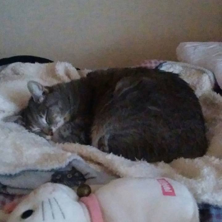 3b21a748 1821 4fe0 85c0 15c05cf55218 1523419531761