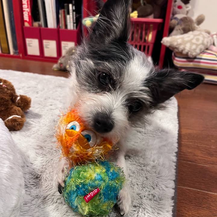 3b21cae4 3104 4489 a021 cfbb453b7826 1768648044227