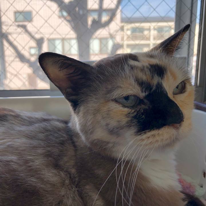 3b220fe1 d482 461f a8a6 3c0245acba30 1768901491153