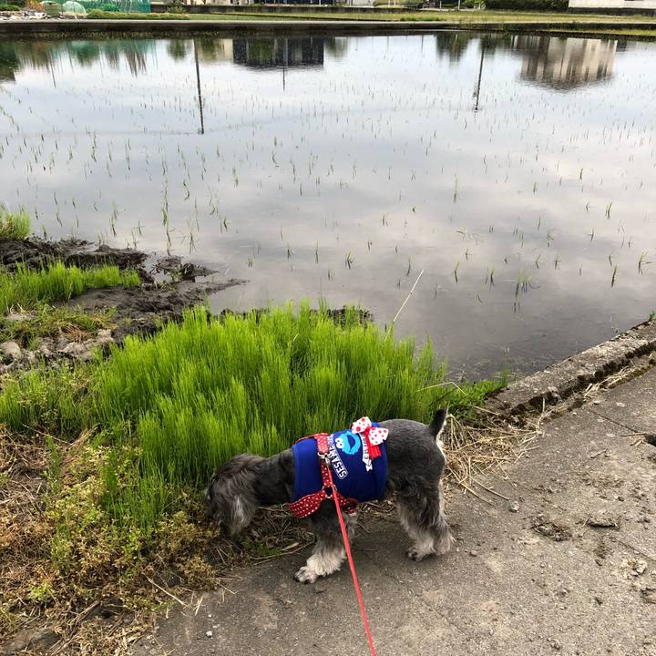 3b223d2f bcb7 48f3 9720 983bfdf86011 1558173337348