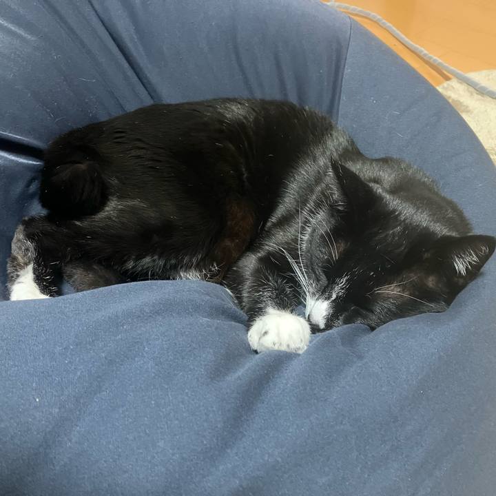 3b224763 b75a 453d 8019 5fb2436b0b16 1702869944549