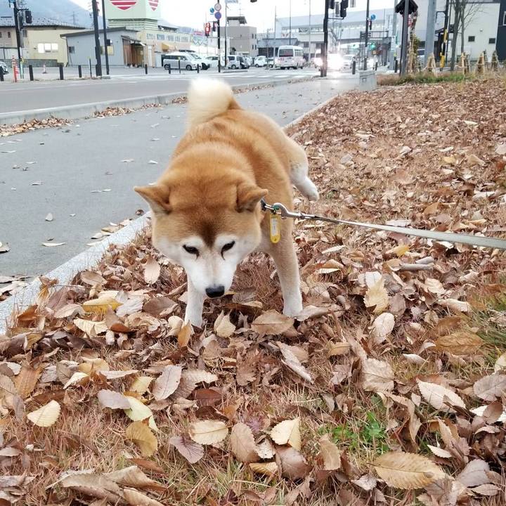 3b224cbd bb3e 48fe 848b a489490fc619 1574838122785