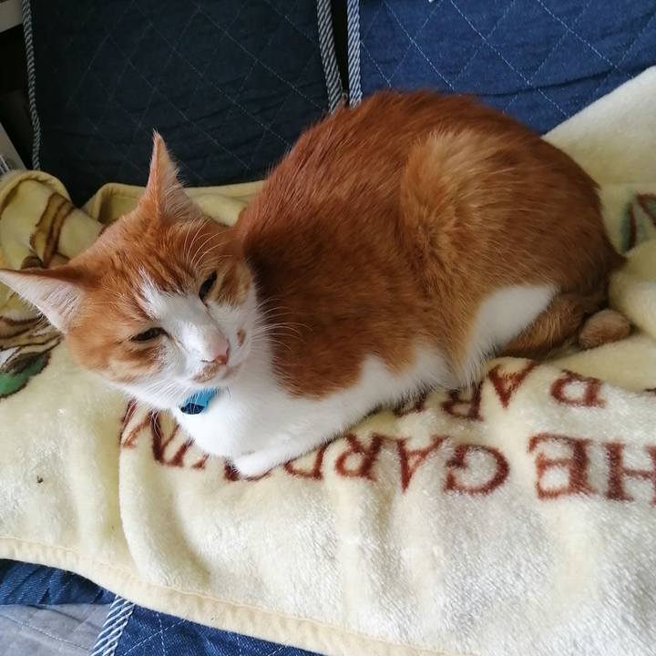 3b2291ab 3288 478e a19e c5aa8cf29fa6 1619315970923