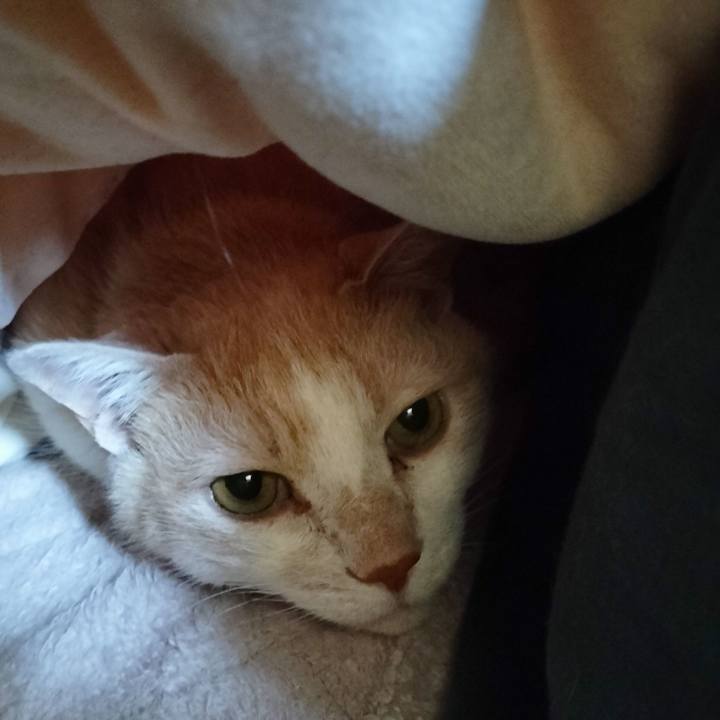 3b22923c 0625 4a9b bf93 caf63e060ea1 1677896207735