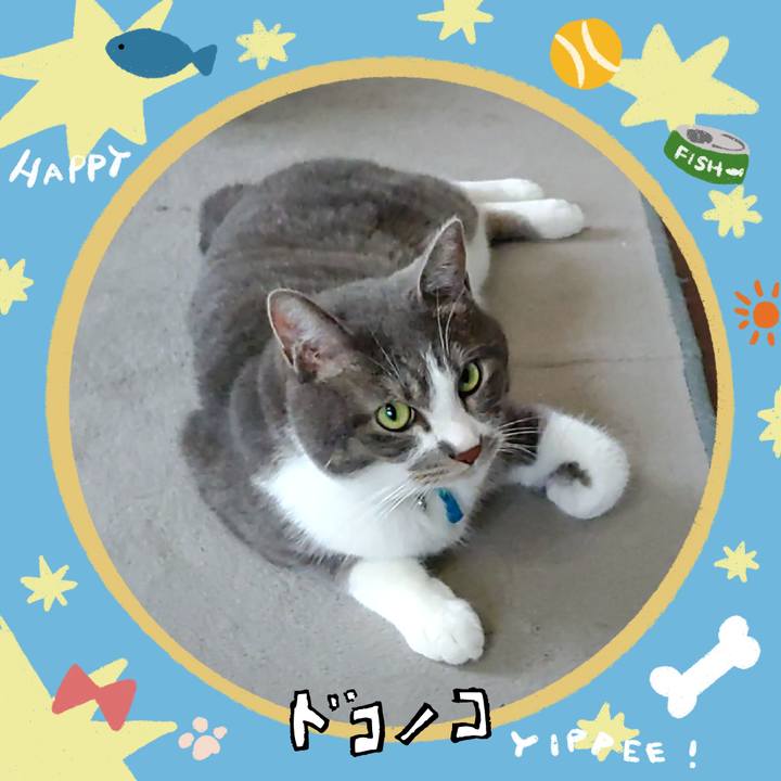 3b22d578 9301 49af 8686 591bb485107c 1721349240472