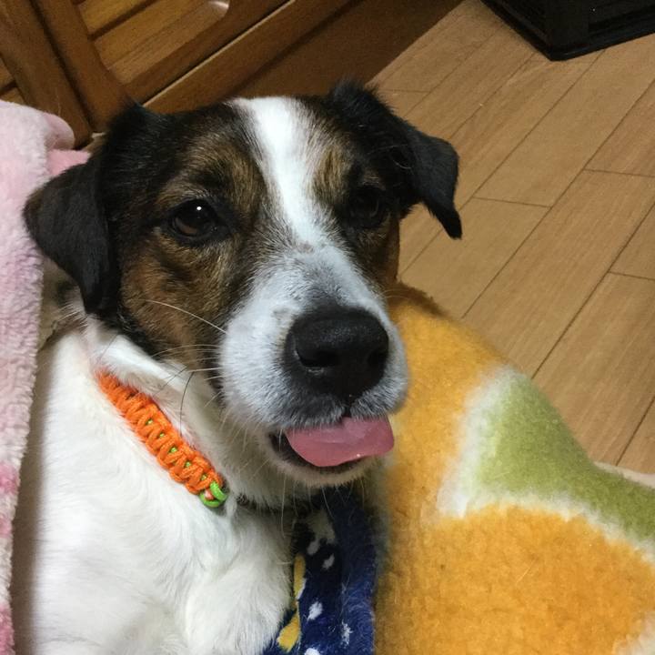 3b230e37 65f0 4ba9 a946 76b2697d27d9 1549970129380