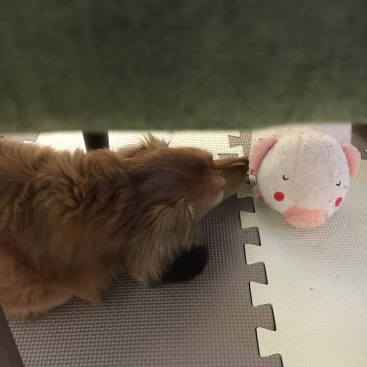 3b23176e 8e7c 4f80 994c ca780437da0d 1596628670295