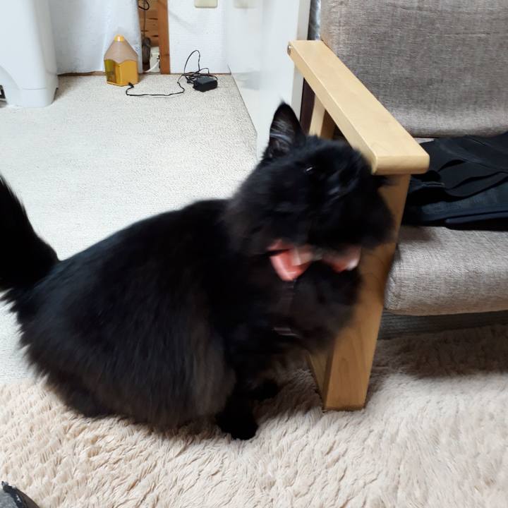 3b235a2c b91d 4915 a029 8af3bb2a7fea 1521142224592