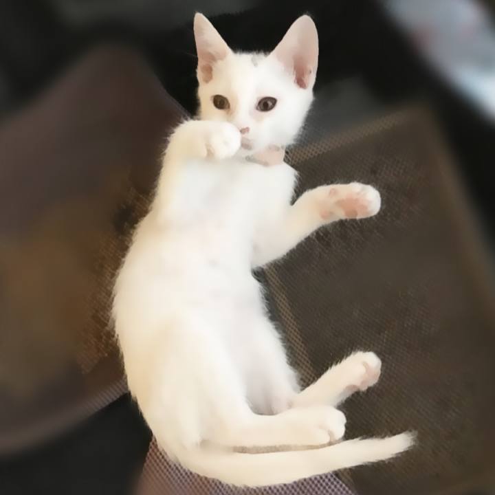 3b236729 3cd7 4dcb a563 3881d492014c 1569717857227