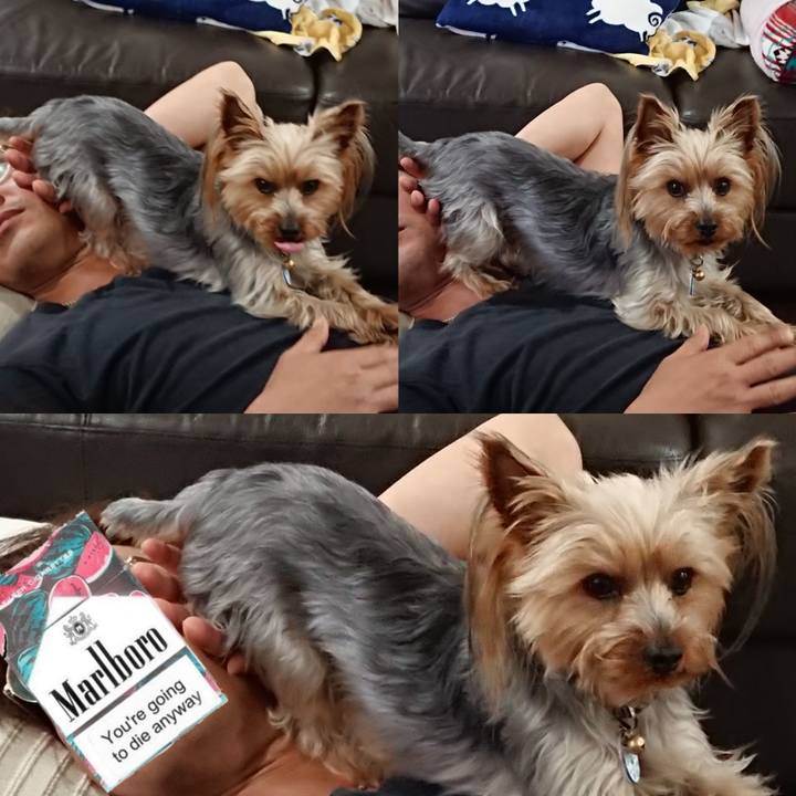 3b238b2d 52aa 49a5 b8c8 cb2e44358e2a 1558267139787