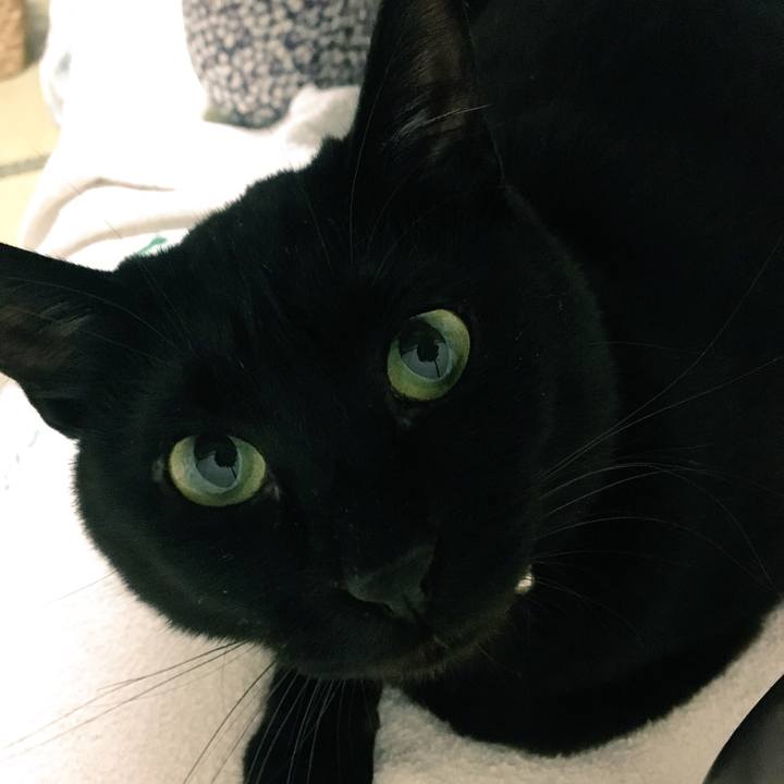 3b238eff e916 4de5 97c7 767be05c3fba 1525136761710