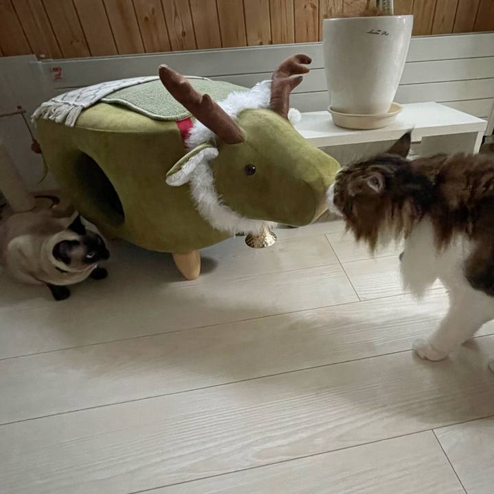 3b238f74 b316 45d1 a55b 44e0b9ad3b05 1722113622276