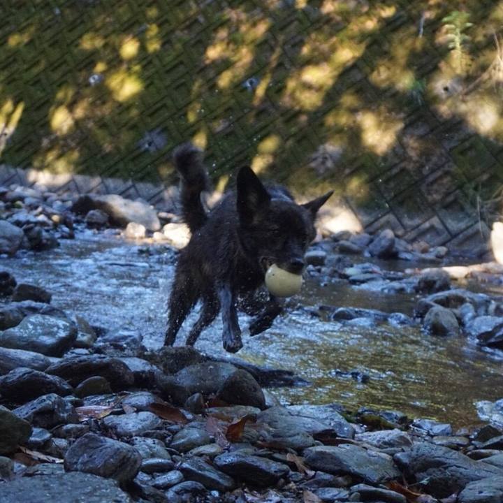 3b23bed0 bd76 4732 95e5 7cf5bad823b9 1538002994739