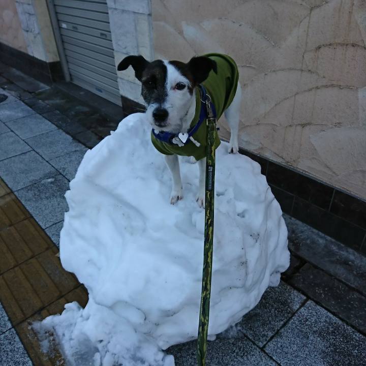 3b23dd1a bbf3 42f2 b5d8 805778988333 1516746535131