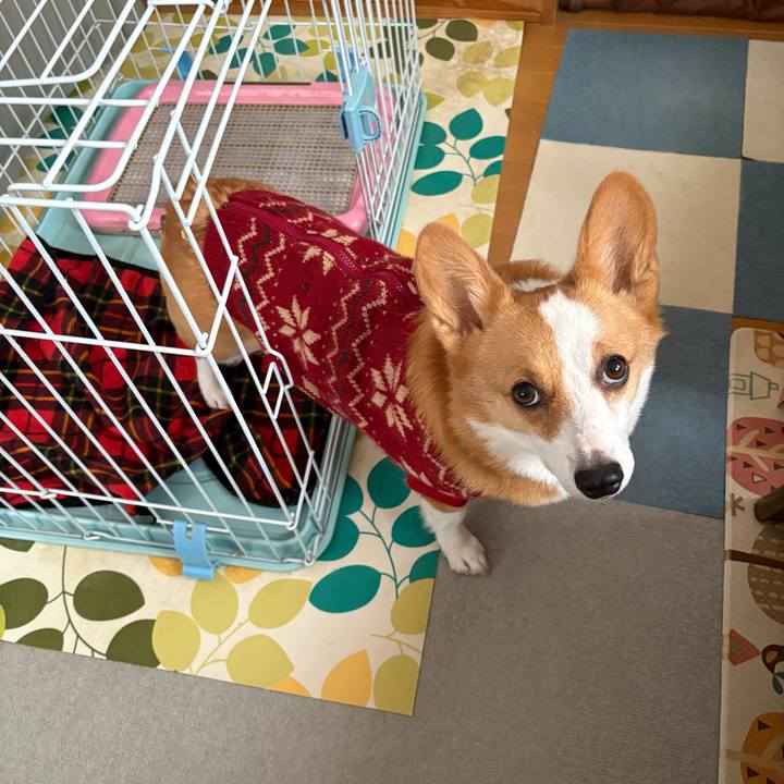 3b23fab8 1fb5 49c1 89ee dc4ddbe3a953 1768892469010